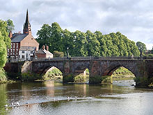 Cursos inglés adultos Chester
